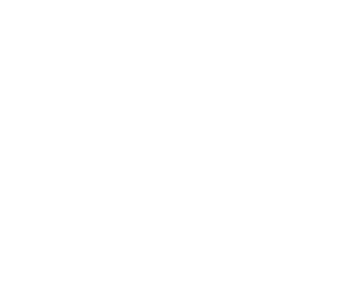 Logo-weiss